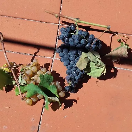 L'arcobaleno Pensjonat Casola in Lunigiana